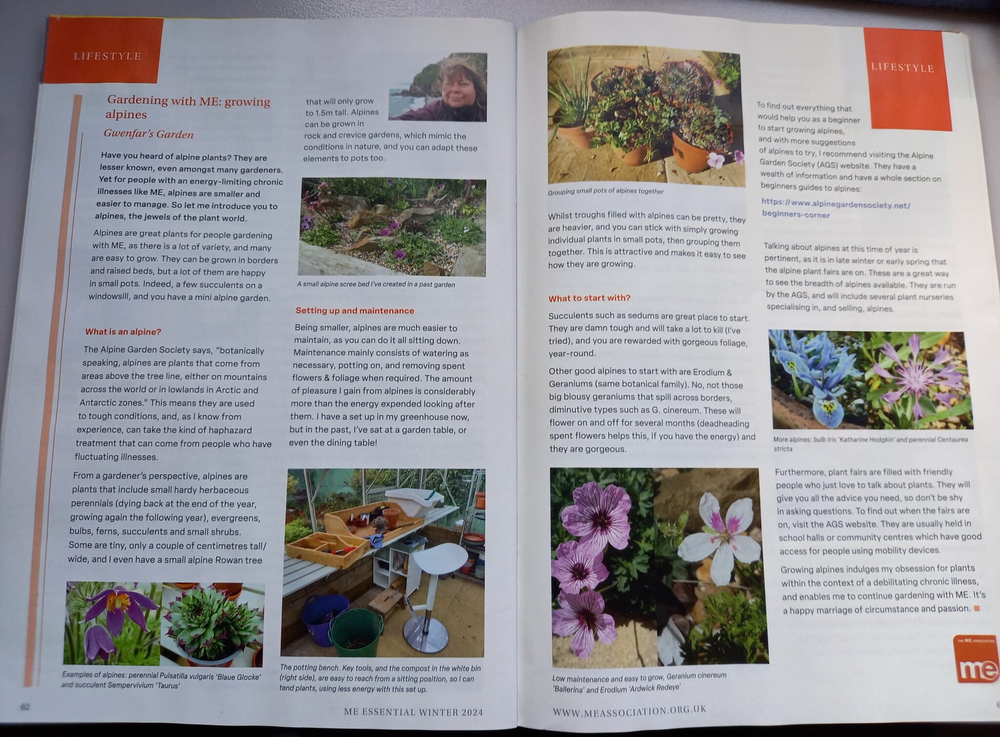 A photo of a two page article, Gardening with ME: growing alpines. It includes a few photos, which will be shown in the blogpost with alt text.